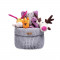 BBR-BFDT-COTTON-GREY
